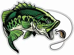 Perch Fishing Stickers Window  - Desk Setup For Laptop บทวิจารณ์และราคา